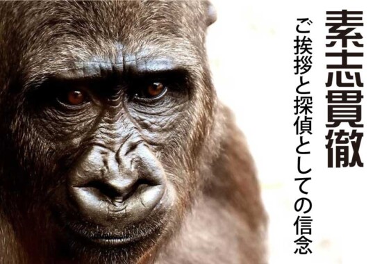 素志貫徹、ご挨拶と探偵としての信念