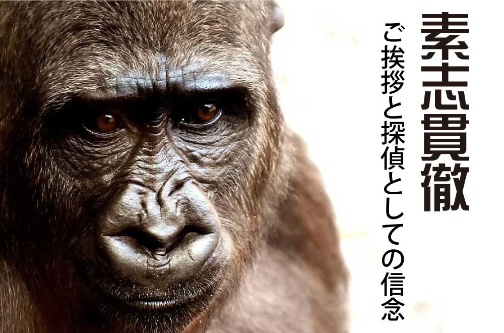 素志貫徹、ご挨拶と探偵としての信念