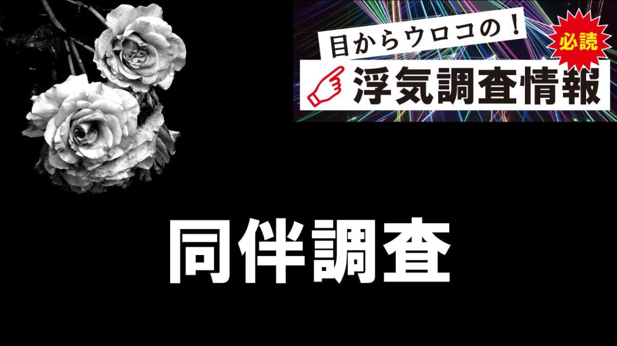 同伴調査（浮気調査）