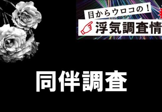 同伴調査（浮気調査）