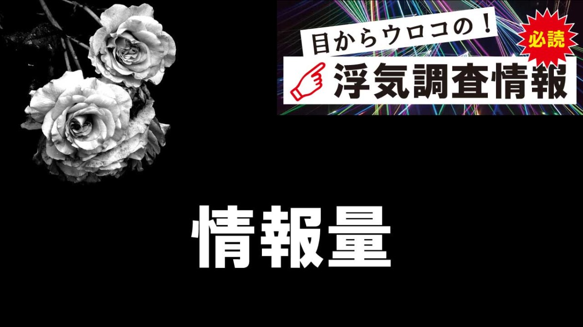 浮気調査における情報量の大切さ