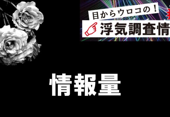 浮気調査における情報量の大切さ