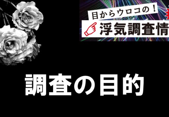 浮気調査の目的