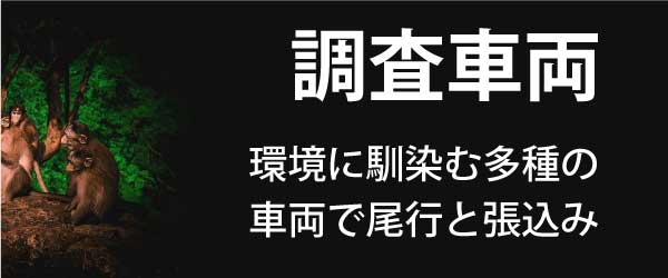 当探偵事務所は、豊富な調査車両であらゆる現場環境でも怪しまれる事なく、尾行張込み調査を行います。