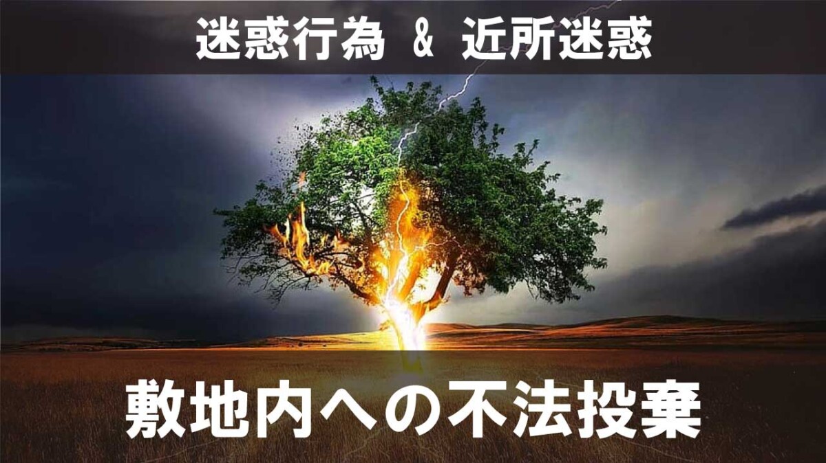 敷地内への不法投棄