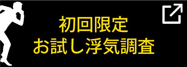初回限定お試し浮気調査暗愛はこちら