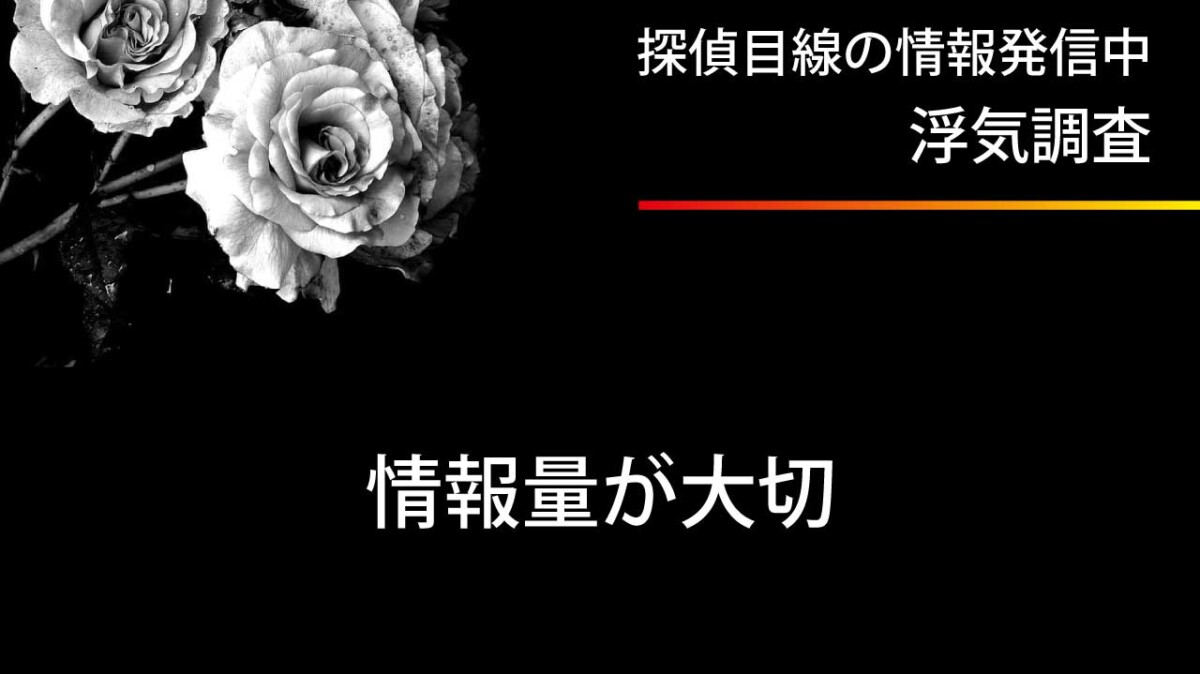 浮気調査における情報量の大切さ