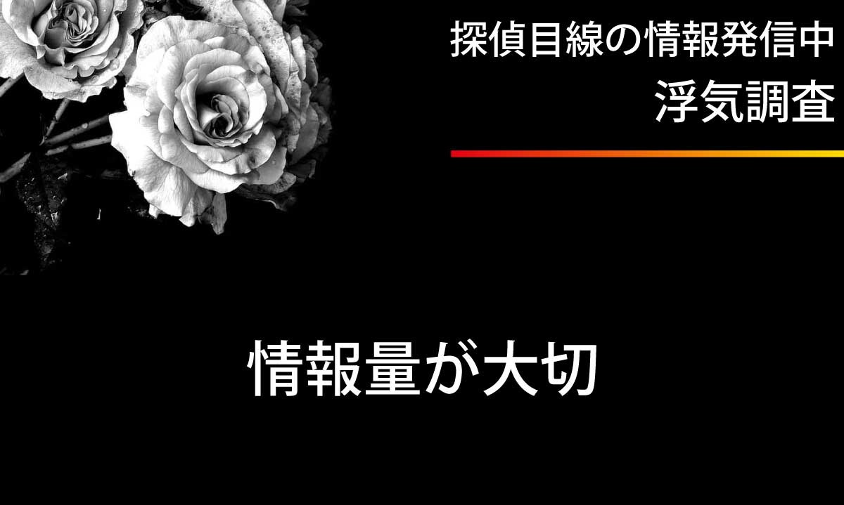 浮気調査における情報量の大切さ