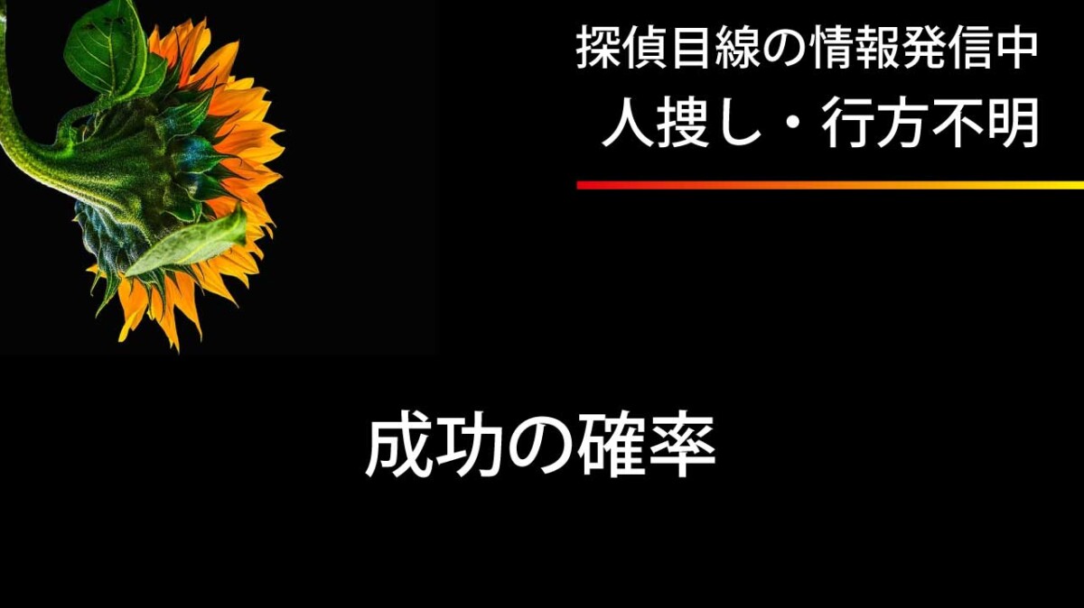 探偵による人捜しの成功率と成功の秘訣