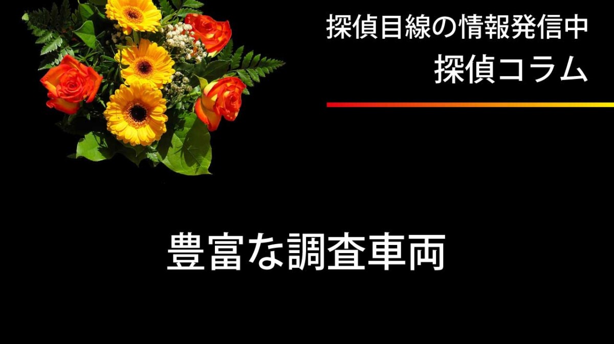 豊富な調査車両で調査します