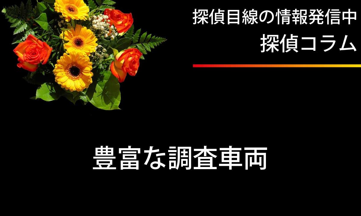 豊富な調査車両で調査します