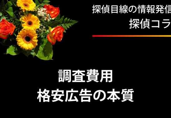 調査費用が格安広告の本質