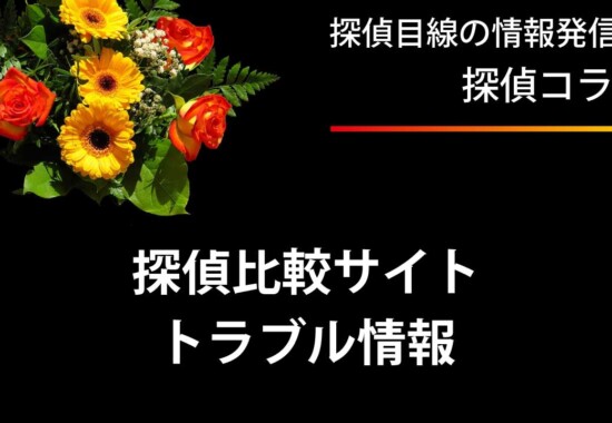 自作自演を含む探偵社ランキング系サイトによるトラブル情報のお知らせ
