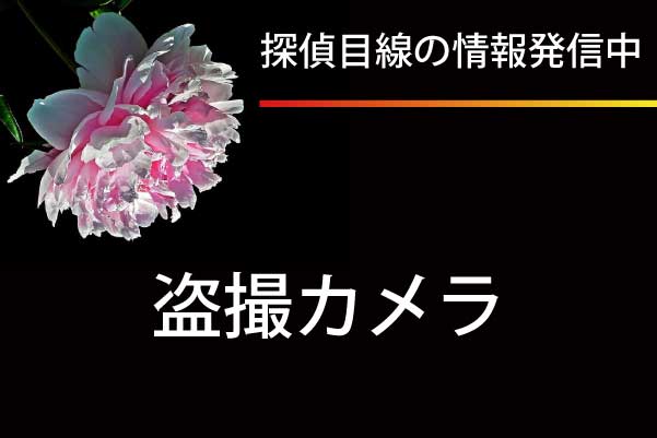 探偵目線の最新情報発信中「盗撮器・盗撮カメラ発見調査」