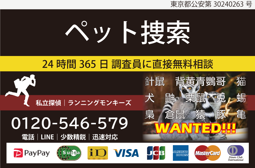 ペット探し、ペット捜索