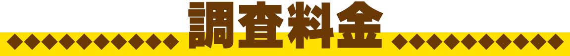 盗聴器発見調査の料金
