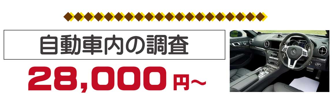 自動車内の調査は28000円から